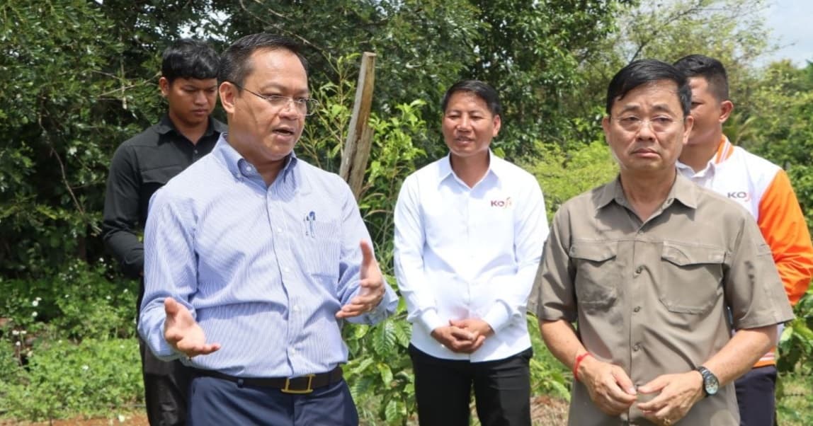 ឯកឧត្តម ថង សាវុន ចុះពិនិត្យស្ថានភាពចំការកាហ្វេរបស់ប្រជាកសិករ ដើម្បីស្វែងយល់ពីការដាំដុះ ការថែទាំ និងផលិតភាពកាហ្វេជាក់ស្តែង