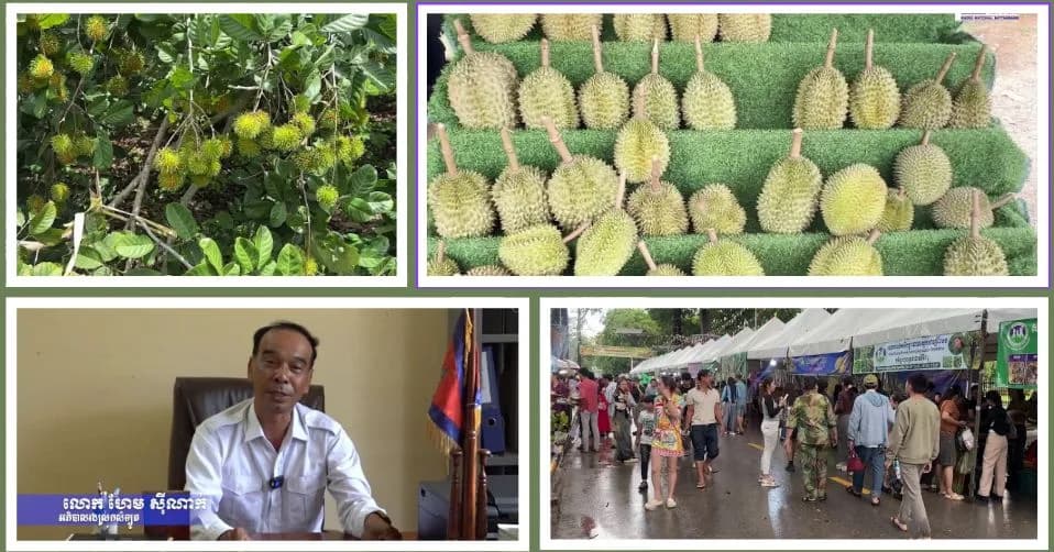 ស្រុកសំឡូតត្រៀមទុរេនដ៏ល្បីឈ្មោះ និងកសិផលមានសក្តានុពល ៤ប្រភេទ ទៅចូលរួមព្រឹត្តការណ៍ពិព័រណ៍ផ្លែឈើបាត់ដំបង ឆ្នាំ២០២៦